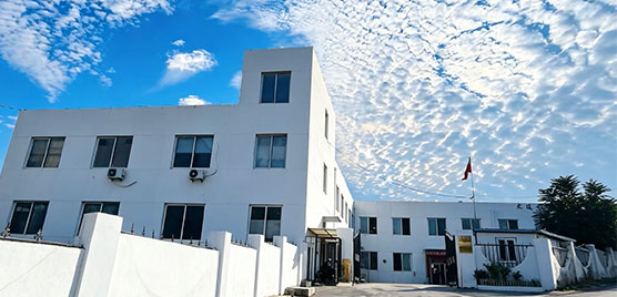 大連彩宜塗装材料有限公司